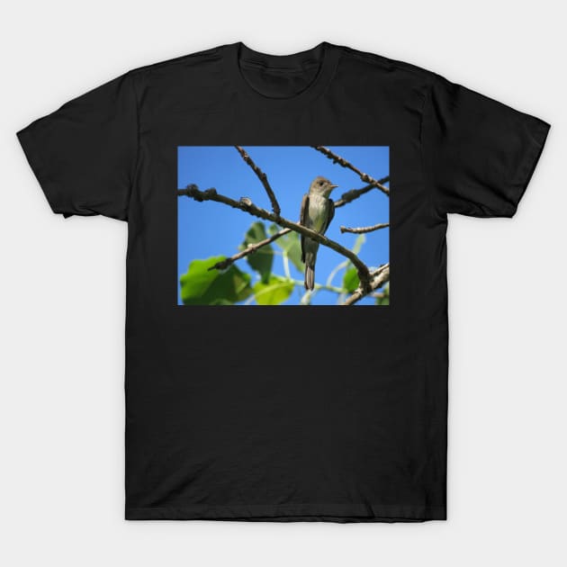 Eastern Wood-Pewee No.2 T-Shirt by MaryLinH